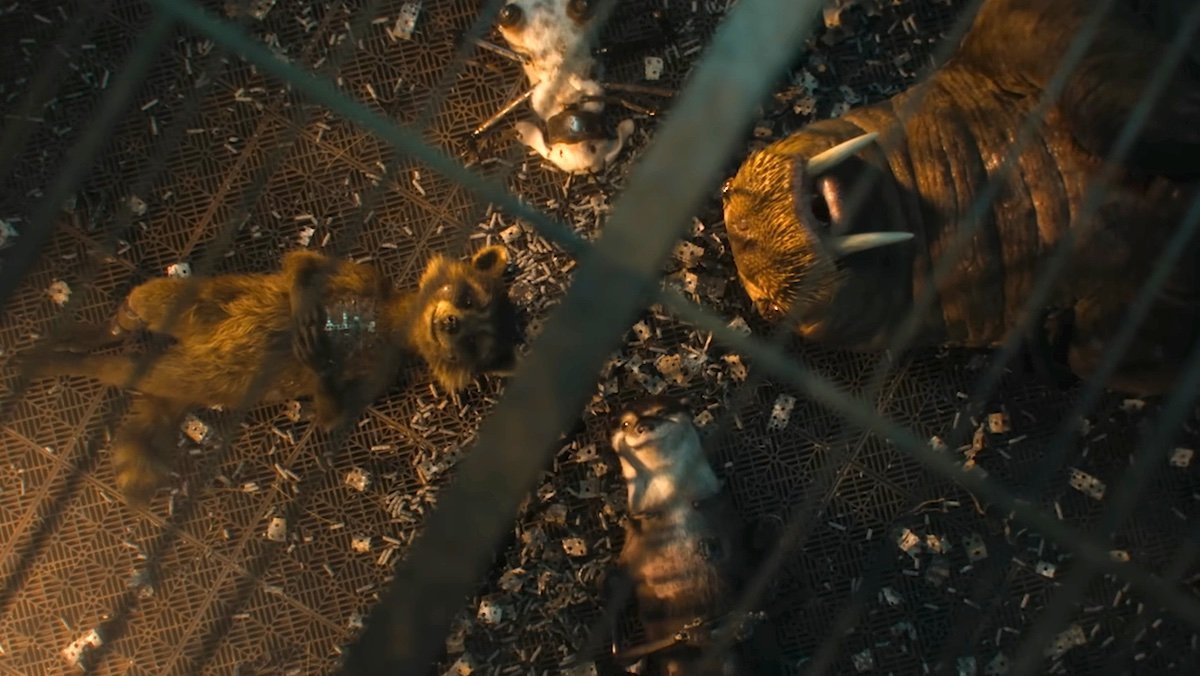 Batch 89, four modified animals, liying on the ground in their cage in Guardians of the Galaxy Vol. 3