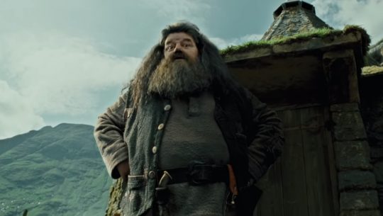 Tom Felton Shares New Details on Wizarding World of HARRY POTTER’s New Hagrid Coaster