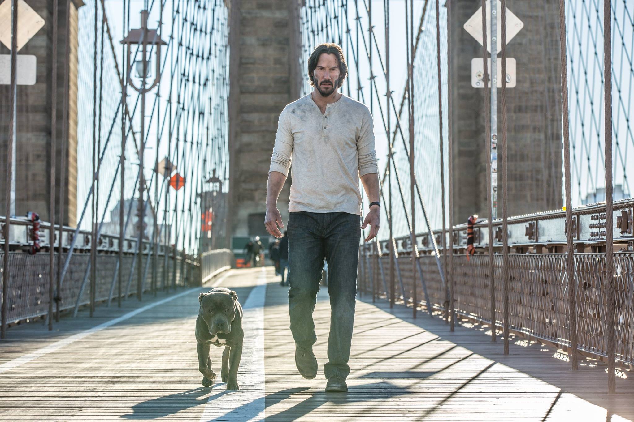 John Wick has a new dog, and boy is he angry.