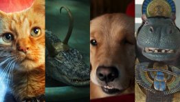 The 10 Best Animals in the MCU, Ranked