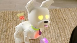 Dog-E the Colorful Robot Dog Looks Friendly But Also Creepy